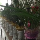 국수리쉼터 이미지