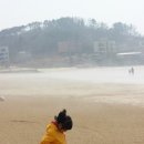 용두해수욕장 관광안내소 이미지
