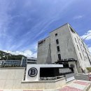 브라운도트 이미지