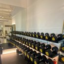 푸른휘트니스 이미지