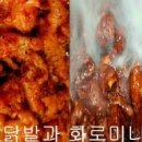 화로불닭발,미니족발,안주꺼리,국민야식,국내산 무뼈닭발 판매합니다 이미지