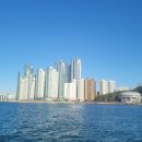 롯데동부산마인 | 부산바다낚시 [부산요트투어] 내돈내산 후기글