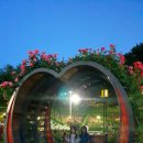 장미셀프세차 이미지