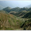 중국 계림의 풍광(風光)과 전통문화 탐방 이미지