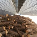 용궁농장 이미지