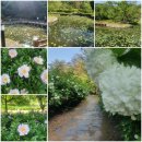 공작산조경