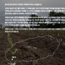 무릉외갓집 이미지