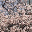[마포명인] 고3설명회 생생 후기