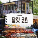 베트남 나트랑 달랏 투어 코스 1일차 세친구투어 후기