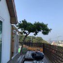 영흥도 스파펜션 소풍재