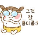 소나무캠핑 이미지