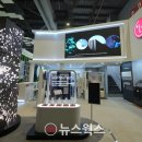 퓨로라