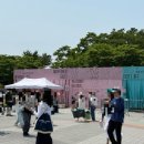몽실김밥앤김치말이국수 | 서울재즈페스티벌 2025 먹거리 정리｜푸드존 &amp; 도시락 반입 현실 후기