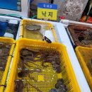 [거제 고현시장 맛집] 바다수산 해산물 포장 후기와 공영주차장 무료 꿀팁!