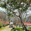 허니듀(Honey Dew) 이미지