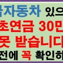 고급자동차 있으시면 기초연금 못 받습니다. 기초연금 신청전에 예외조건 확인하세요 이미지