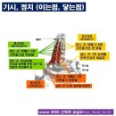 근육 사각근 흉쇄유돌근 이미지