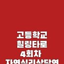 타로로 시험전에 힐링하다 이미지