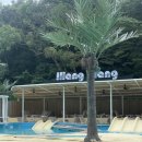 일랑일랑 | 서산 “용현계곡” 근처 일랑일랑 내돈내산 후기