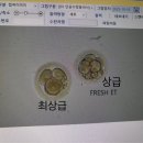 배양 | 시험관 신선배아 3일배양 이식 후기(등급, 과정)