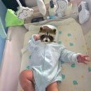 비에이치씨(BHC)서울시립대점 이미지