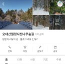기호목장 | 4월 말 국내여행 평창여행 | 평창 놀거리, 평창 여행코스, 평창 비수기 여행, 평창 하늘목장