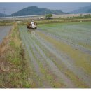 금고2리 이미지