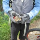 용현목장 이미지