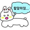 왼손스튜디오
