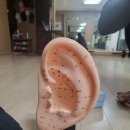 헬로우바디체인지2
