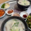 [부산여행] 허영만 백반기행, 영도 현지인 맛집 맛집 가마솥 돼지국밥 방문후기(내돈내산)