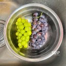 경산농약백화점 | 탱글알 샤인머스켓 세척 거봉 포도 철 프루츠윗 달달한 샤인머스캣 그릭요거트 만들기