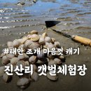 태안호스릴-20 | 5월 국내여행 추천 태안 진산리 갯벌체험장 동죽조개 캐기 꿀팁(주차/체험비/장비대여)