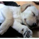 두아름농장 이미지