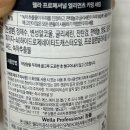 건성 두피케어 &lt;웰라 프로페셔널 엘리먼츠 카밍 세럼&gt; 후기