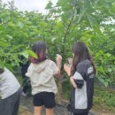 흥덕농장 이미지