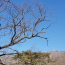 상부상회 이미지