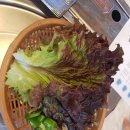 대도수산 이미지