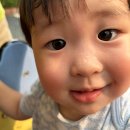풍납 백제문화공원 | 싱그러운 여름 일기ㅣ올림픽공원·풍납 백제문화공원·풍납토성 경당지구·광나루한강공원 모두의 놀이터