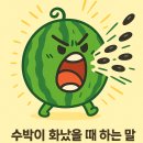 제일컴퓨터세탁소 이미지