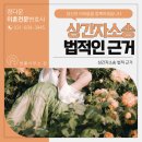 법률사무소윈정다운변호사사무소 네이버블로그