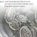 전복손질법 살아있는 전복 손질 방법 전복 냉장 냉동 보관방법 이미지