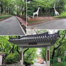 수봉공원 (망배단) 이미지