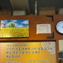 제일 어버이 순대 | 여의도 순대국맛집 제일어버이순대 내돈내산 솔직후기