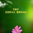 좋은사람들 이미지