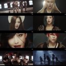 레드라이트(Red Light)