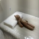 진진왁싱