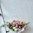 모닝글로리사동