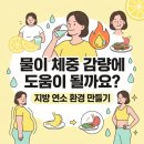 연소자연농장 | 물 다이어트 효과｜수분 섭취 다이어트·물 많이 마시면 살빠지나·레몬수로 체중 감량하는 방법