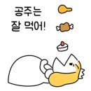 수시호 이미지